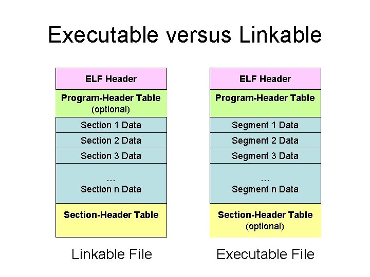Executable versus Linkable ELF Header Program-Header Table (optional) Program-Header Table Section 1 Data Segment