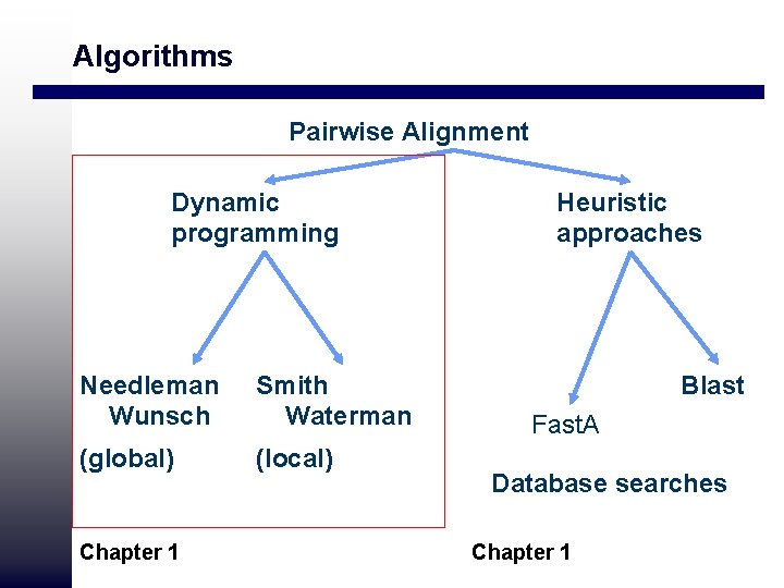 Algorithms Pairwise Alignment Dynamic programming Needleman Wunsch Smith Waterman (global) (local) Chapter 1 Heuristic