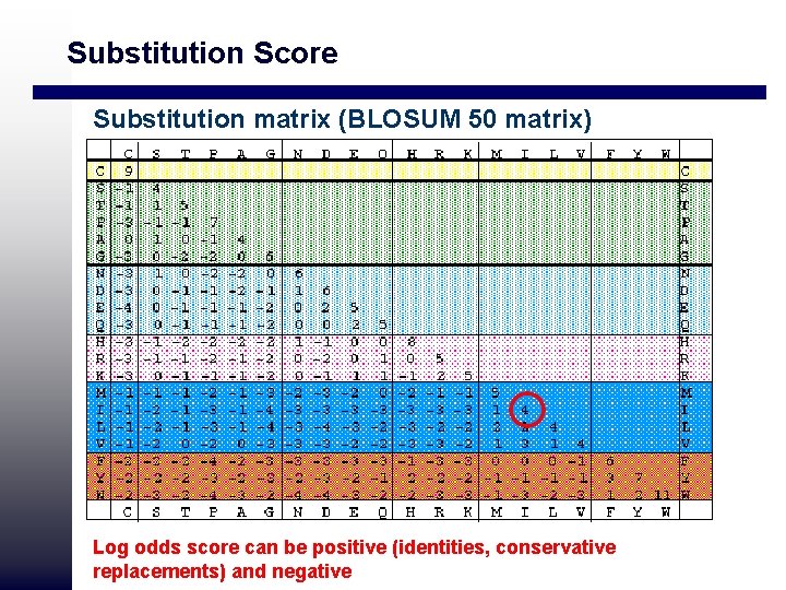 Substitution Score Substitution matrix (BLOSUM 50 matrix) Log odds score can be positive (identities,