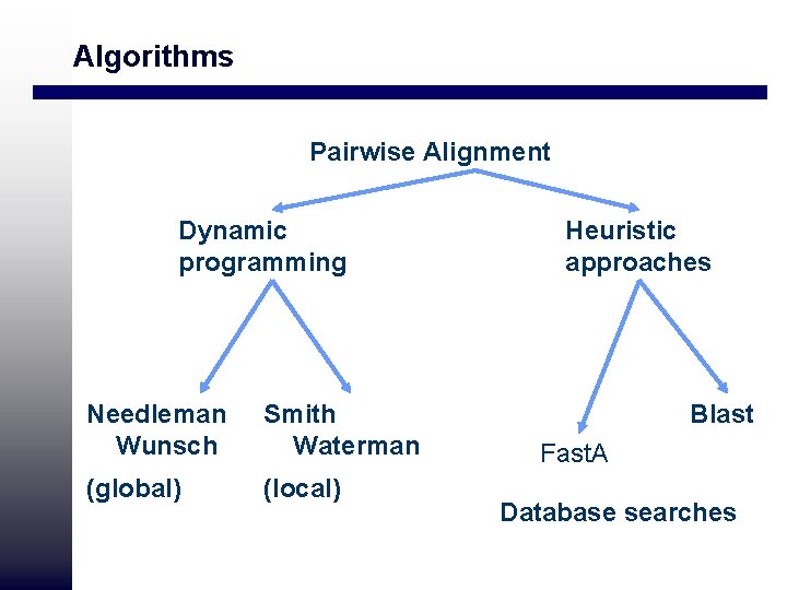 Algorithms Pairwise Alignment Dynamic programming Needleman Wunsch Smith Waterman (global) (local) Heuristic approaches Blast Algorithms Pairwise Alignment Dynamic programming Needleman Wunsch Smith Waterman (global) (local) Heuristic approaches Blast