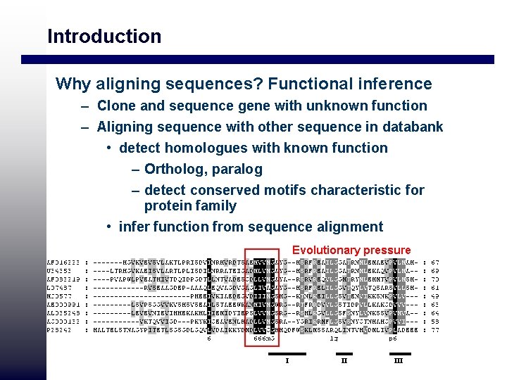 Introduction Why aligning sequences? Functional inference – Clone and sequence gene with unknown function Introduction Why aligning sequences? Functional inference – Clone and sequence gene with unknown function