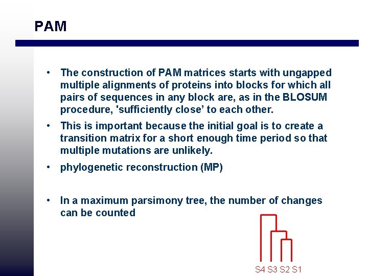 PAM • The construction of PAM matrices starts with ungapped multiple alignments of proteins