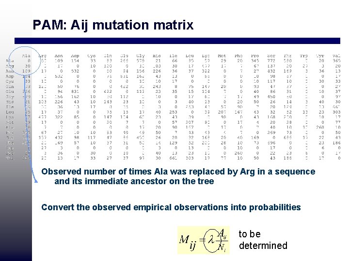 PAM: Aij mutation matrix Observed number of times Ala was replaced by Arg in