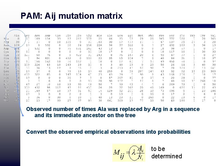 PAM: Aij mutation matrix Observed number of times Ala was replaced by Arg in PAM: Aij mutation matrix Observed number of times Ala was replaced by Arg in