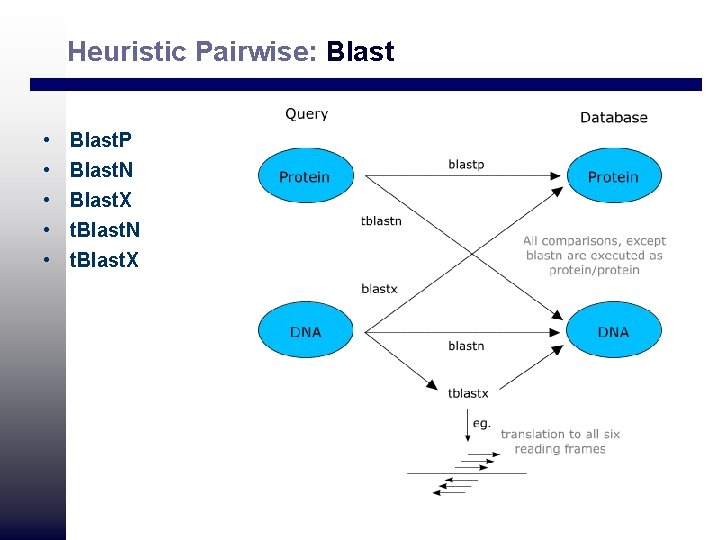 Heuristic Pairwise: Blast • • • Blast. P Blast. N Blast. X t. Blast.