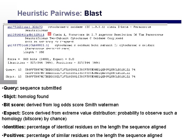 Heuristic Pairwise: Blast • Query: sequence submitted • Sbjct: homolog found • Bit score: