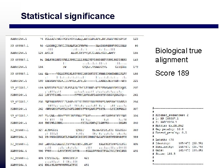 Statistical significance Biological true alignment Score 189 