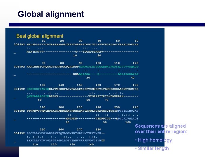 Global alignment Sequences are aligned over their entire region: • High homology • Similar