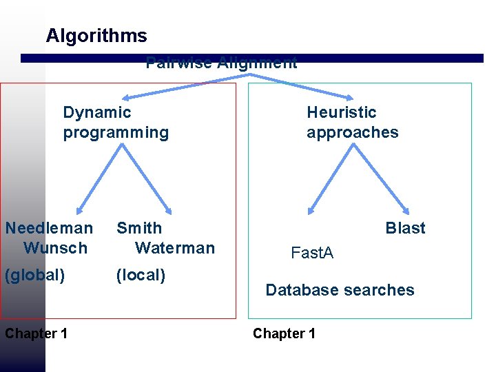 Algorithms Pairwise Alignment Dynamic programming Needleman Wunsch Smith Waterman (global) (local) Chapter 1 Heuristic Algorithms Pairwise Alignment Dynamic programming Needleman Wunsch Smith Waterman (global) (local) Chapter 1 Heuristic