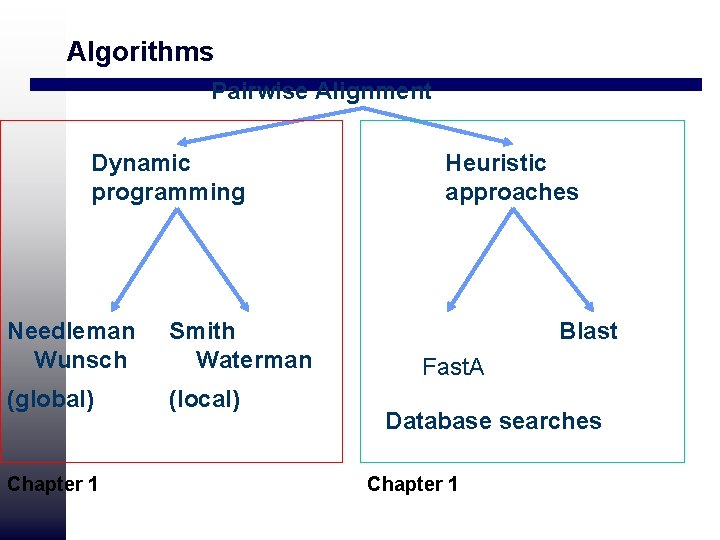 Algorithms Pairwise Alignment Dynamic programming Needleman Wunsch Smith Waterman (global) (local) Chapter 1 Heuristic