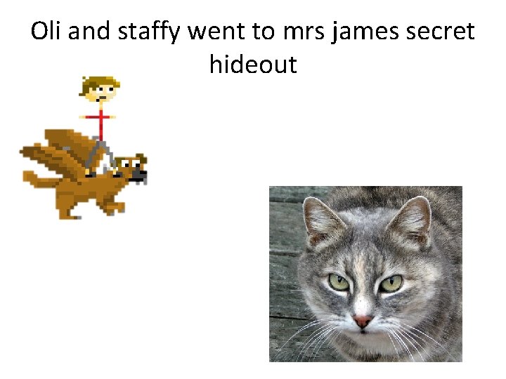 Oli and staffy went to mrs james secret hideout 