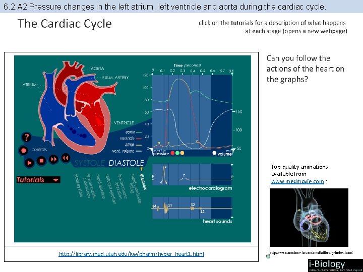 6. 2. A 2 Pressure changes in the left atrium, left ventricle and aorta