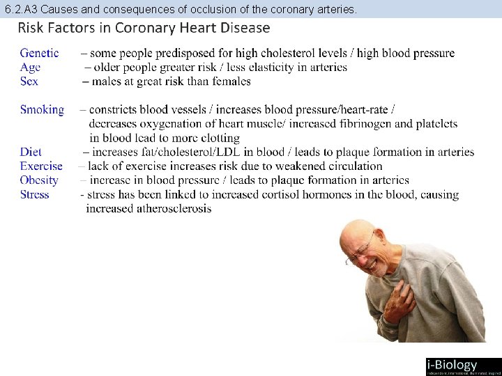 6. 2. A 3 Causes and consequences of occlusion of the coronary arteries. 