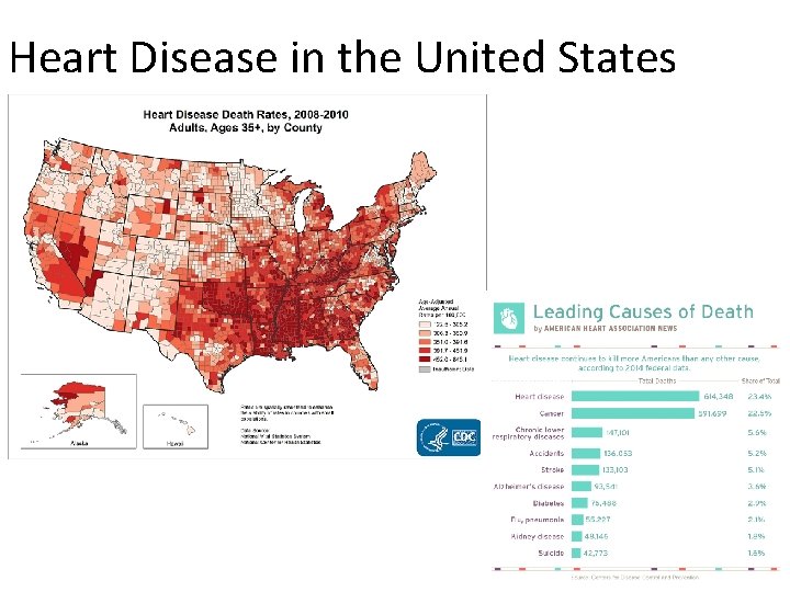 Heart Disease in the United States 