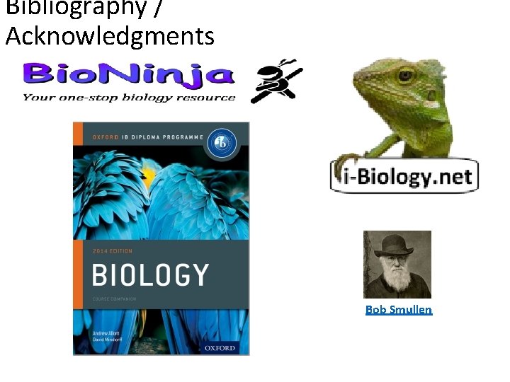 Bibliography / Acknowledgments Bob Smullen 