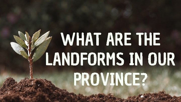 WHAT ARE THE LANDFORMS IN OUR PROVINCE? 