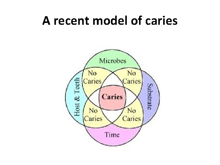 A recent model of caries 