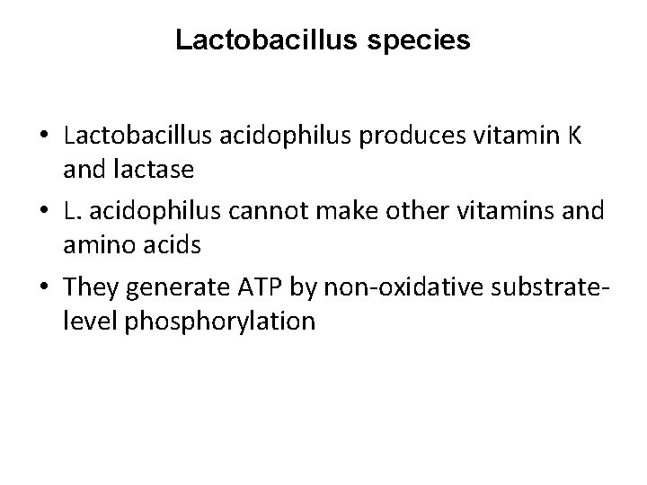 Lactobacillus species • Lactobacillus acidophilus produces vitamin K and lactase • L. acidophilus cannot
