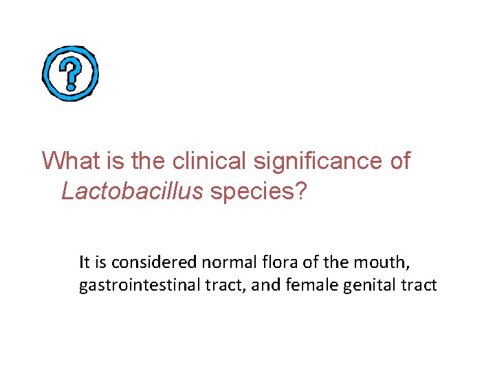 What is the clinical significance of Lactobacillus species? It is considered normal flora of