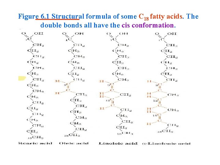 Figure 6. 1 Structural formula of some C 18 fatty acids. The double bonds