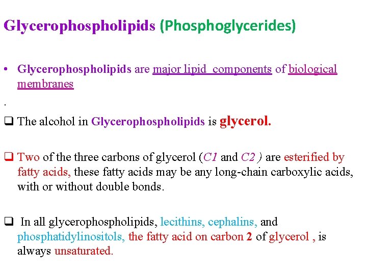 Glycerophospholipids (Phosphoglycerides) • Glycerophospholipids are major lipid components of biological membranes. q The alcohol