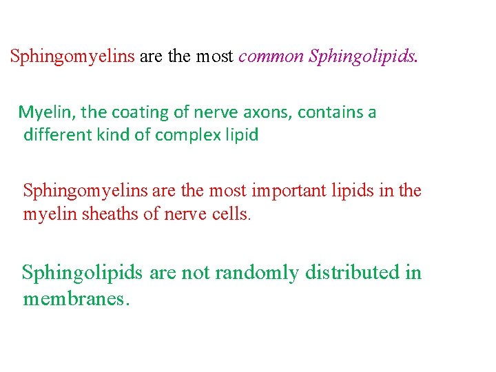 Sphingomyelins are the most common Sphingolipids. Myelin, the coating of nerve axons, contains a