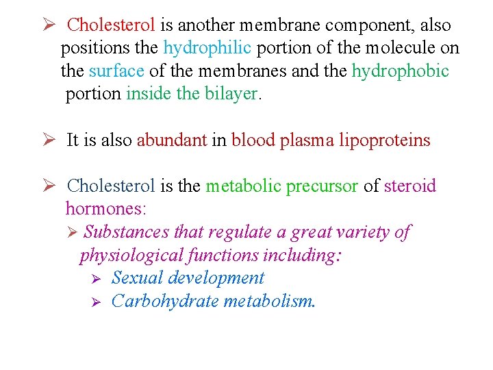 Ø Cholesterol is another membrane component, also positions the hydrophilic portion of the molecule