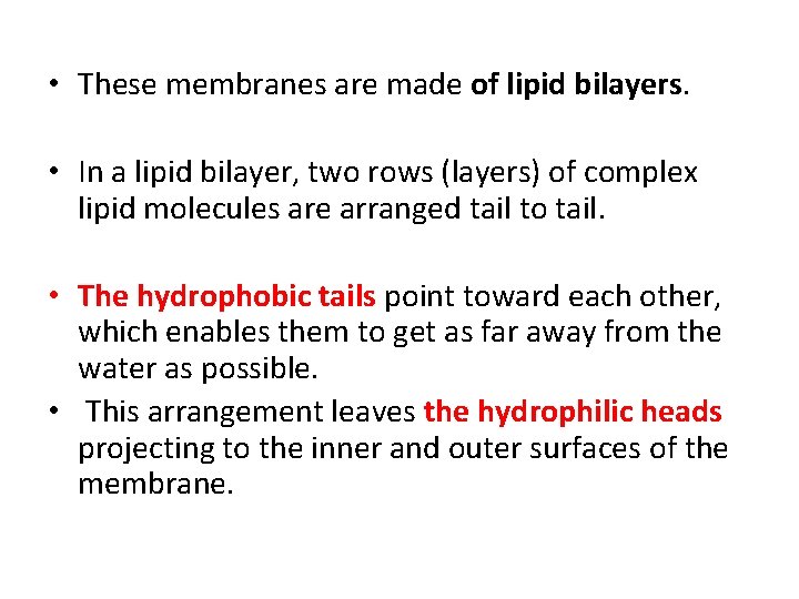  • These membranes are made of lipid bilayers. • In a lipid bilayer,