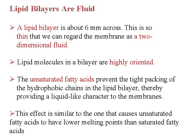 Lipid Bilayers Are Fluid Ø A lipid bilayer is about 6 mm across. This