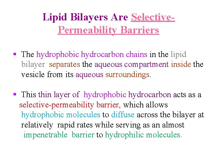 Lipid Bilayers Are Selective. Permeability Barriers § The hydrophobic hydrocarbon chains in the lipid