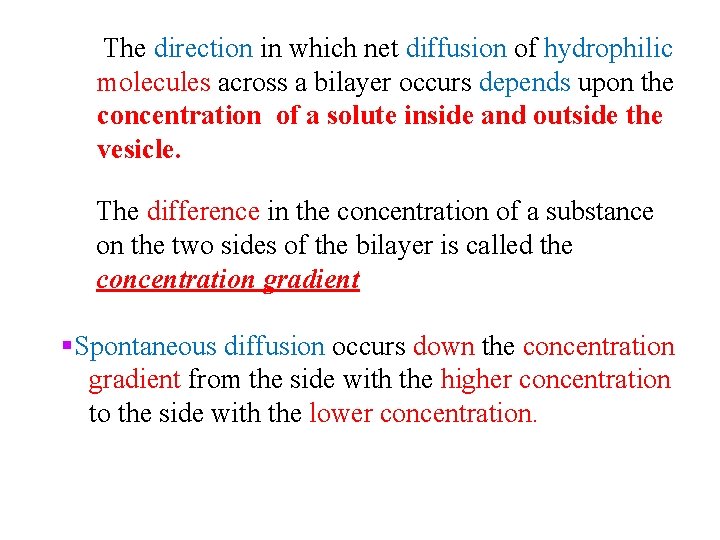 The direction in which net diffusion of hydrophilic molecules across a bilayer occurs depends