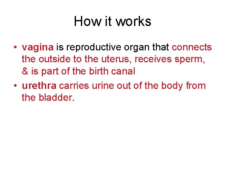 How it works • vagina is reproductive organ that connects the outside to the
