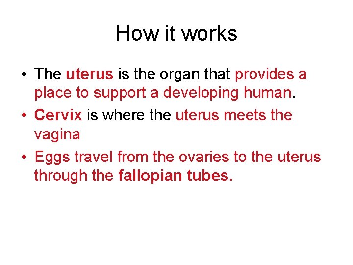 How it works • The uterus is the organ that provides a place to