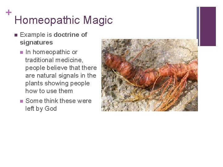 + Homeopathic Magic n Example is doctrine of signatures n In homeopathic or traditional