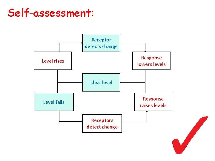 Self-assessment: Receptor detects change Response lowers levels Level rises Ideal level Response raises levels