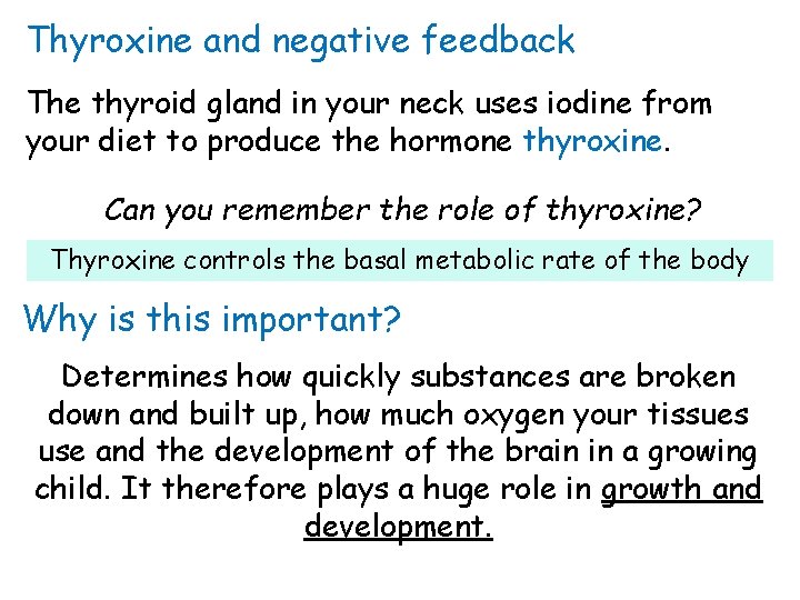 Thyroxine and negative feedback The thyroid gland in your neck uses iodine from your