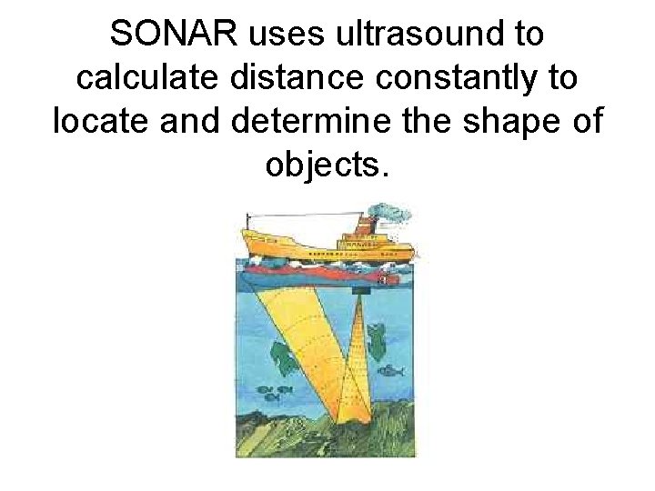 SONAR uses ultrasound to calculate distance constantly to locate and determine the shape of