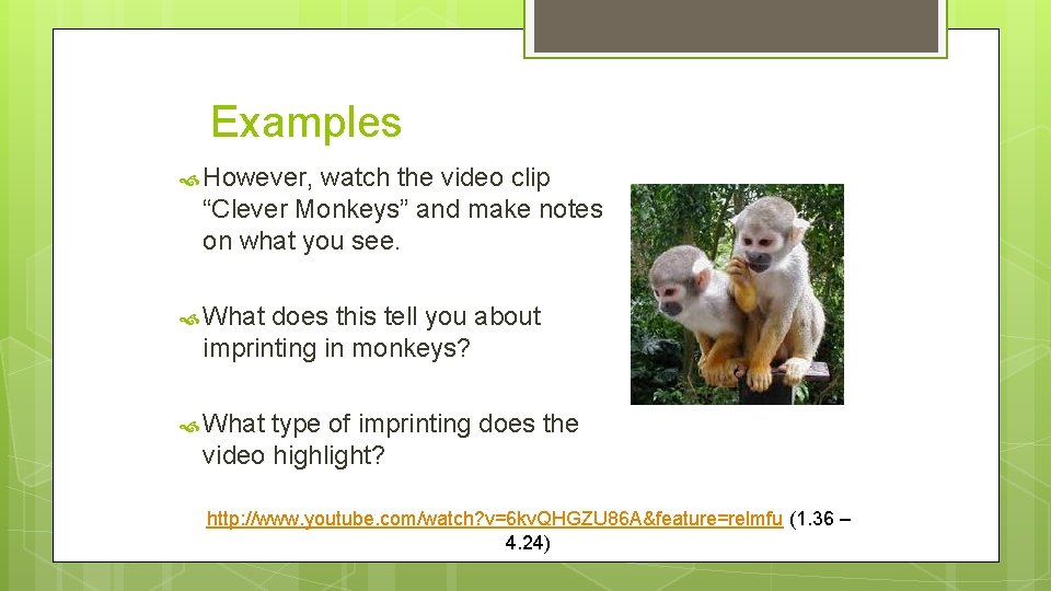 Examples However, watch the video clip “Clever Monkeys” and make notes on what you