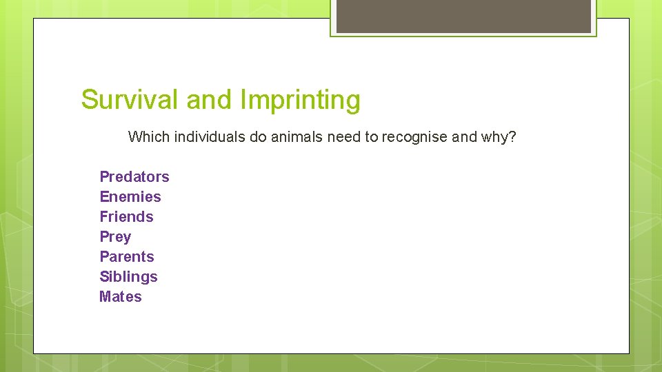 Survival and Imprinting Which individuals do animals need to recognise and why? § §