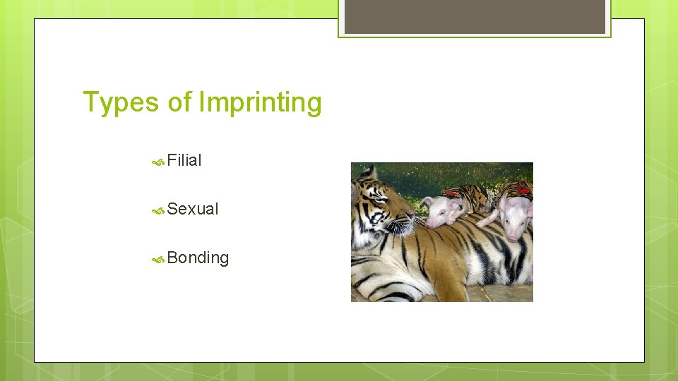 Types of Imprinting Filial Sexual Bonding 
