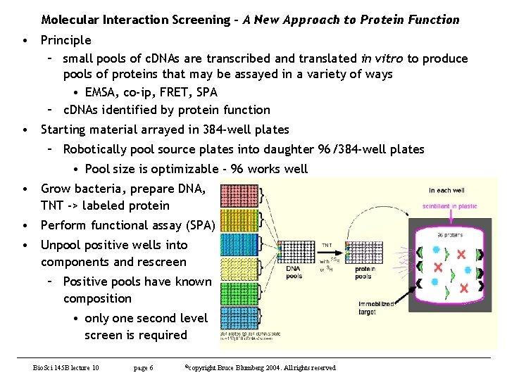 Molecular Interaction Screening - A New Approach to Protein Function • Principle – small