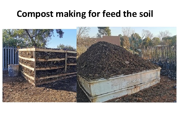 Compost making for feed the soil 