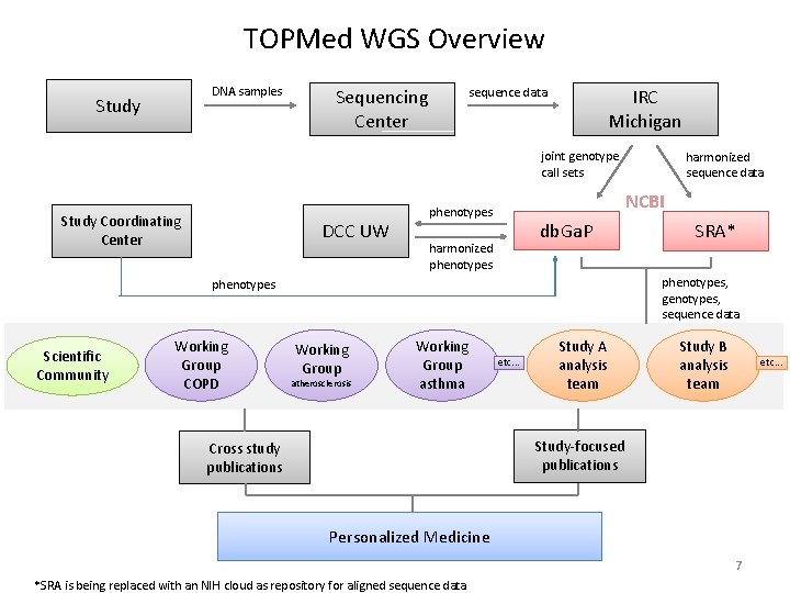 TOPMed WGS Overview DNA samples Study sequence data Sequencing Center IRC Michigan joint genotype