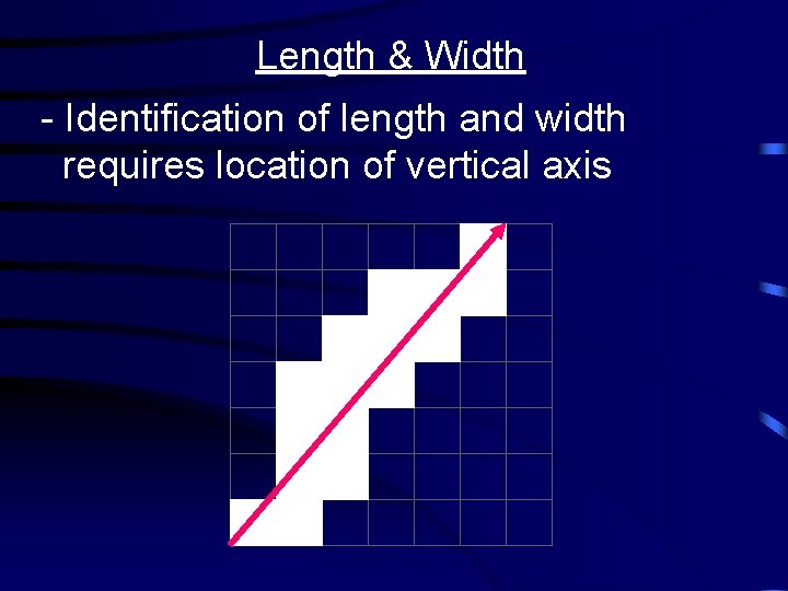 Length & Width - Identification of length and width requires location of vertical axis
