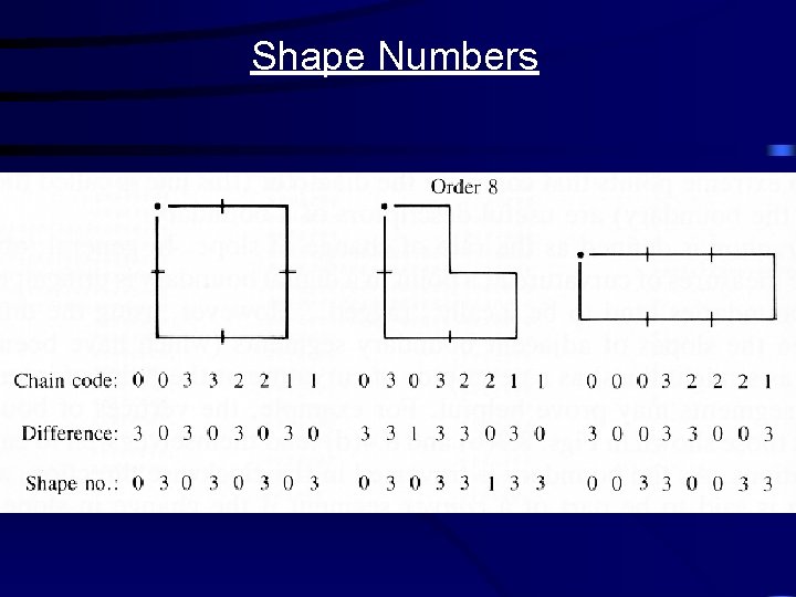 Shape Numbers 