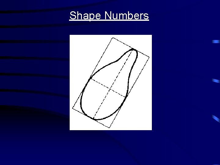 Shape Numbers 