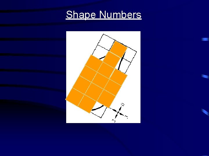 Shape Numbers 