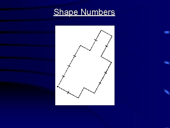 Shape Numbers 