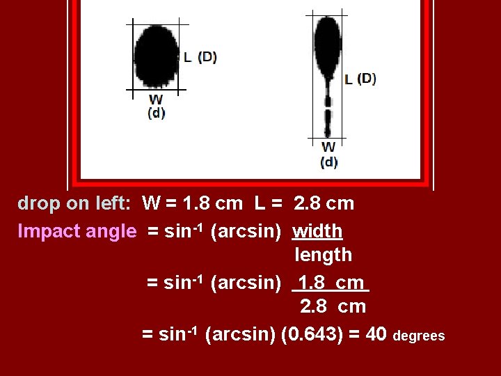 drop on left: W = 1. 8 cm L = 2. 8 cm Impact