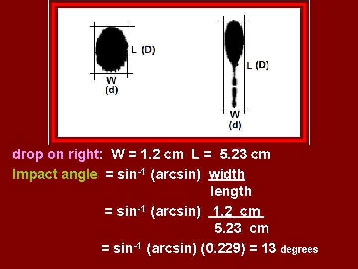 drop on right: W = 1. 2 cm L = 5. 23 cm Impact